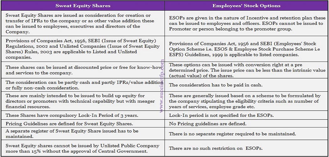 What Is Sweat Equity Share Succinct FP